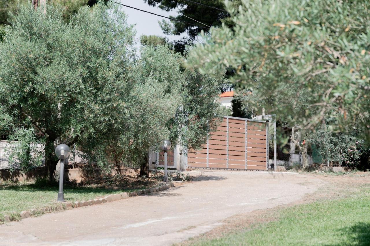 Aelia Διαμέρισμα Μεταμόρφωση Εξωτερικό φωτογραφία